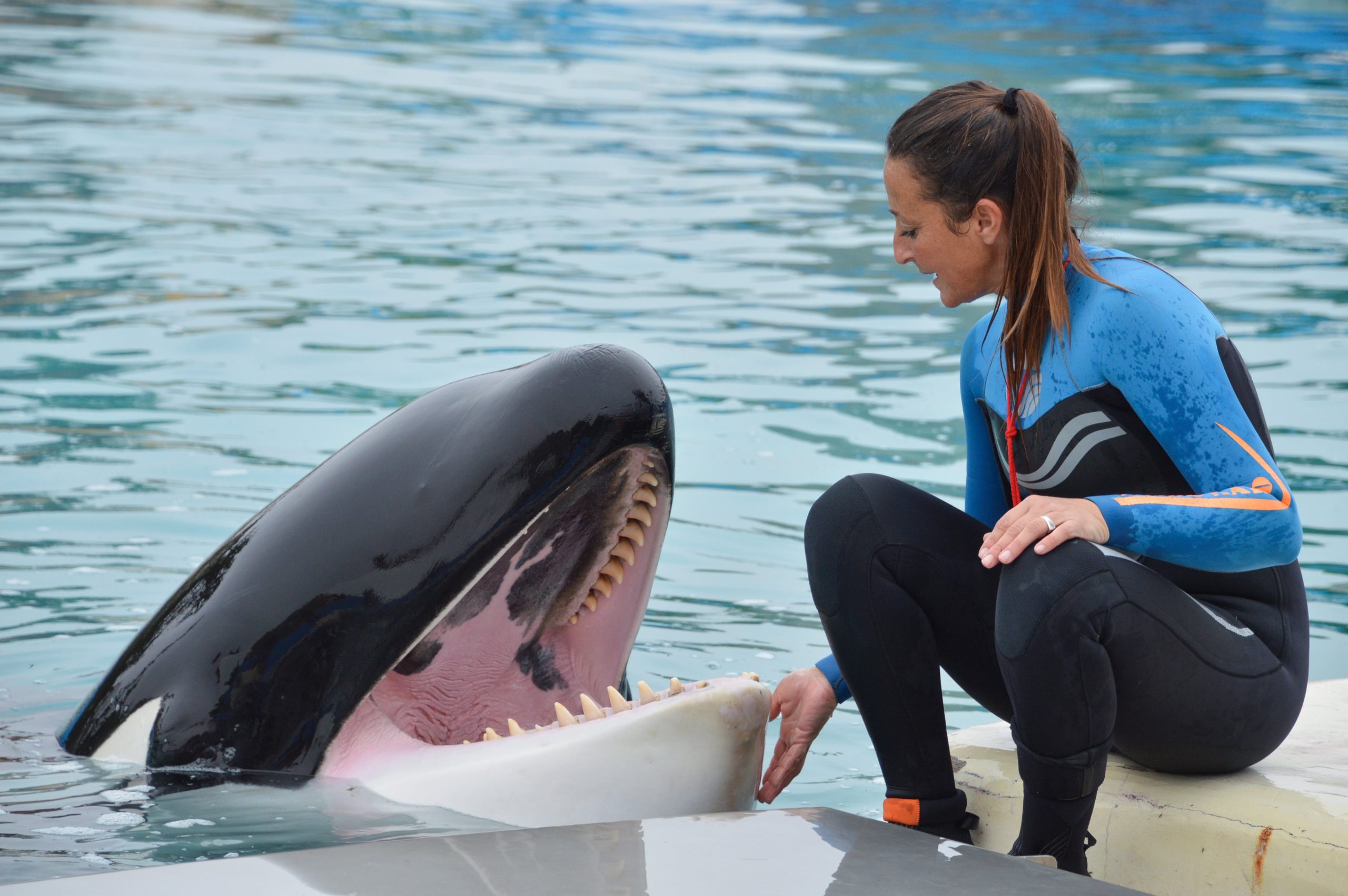 La orca Kshamenk y Florencia Speciale, su entrenadora en Mundo Marino