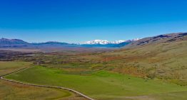 El más austral del mundo: lograron, con éxito, producir trigo cerca del glaciar Perito Moreno