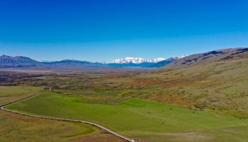 El más austral del mundo: lograron, con éxito, producir trigo cerca del glaciar Perito Moreno