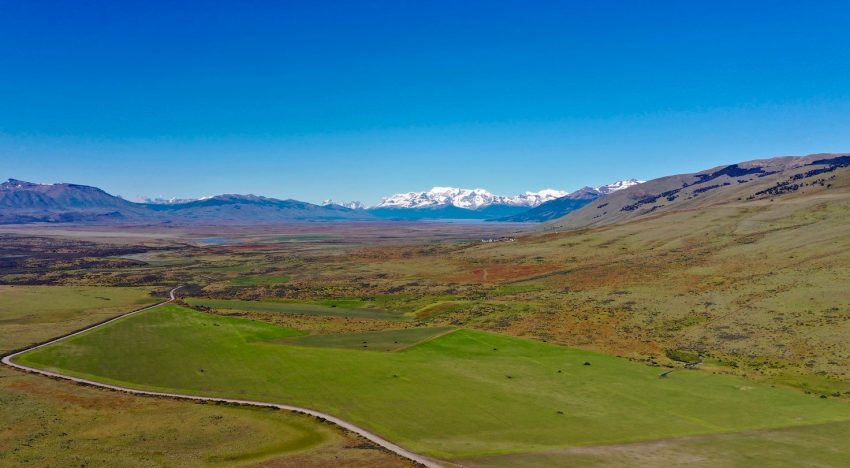 El más austral del mundo: lograron, con éxito, producir trigo cerca del glaciar Perito Moreno