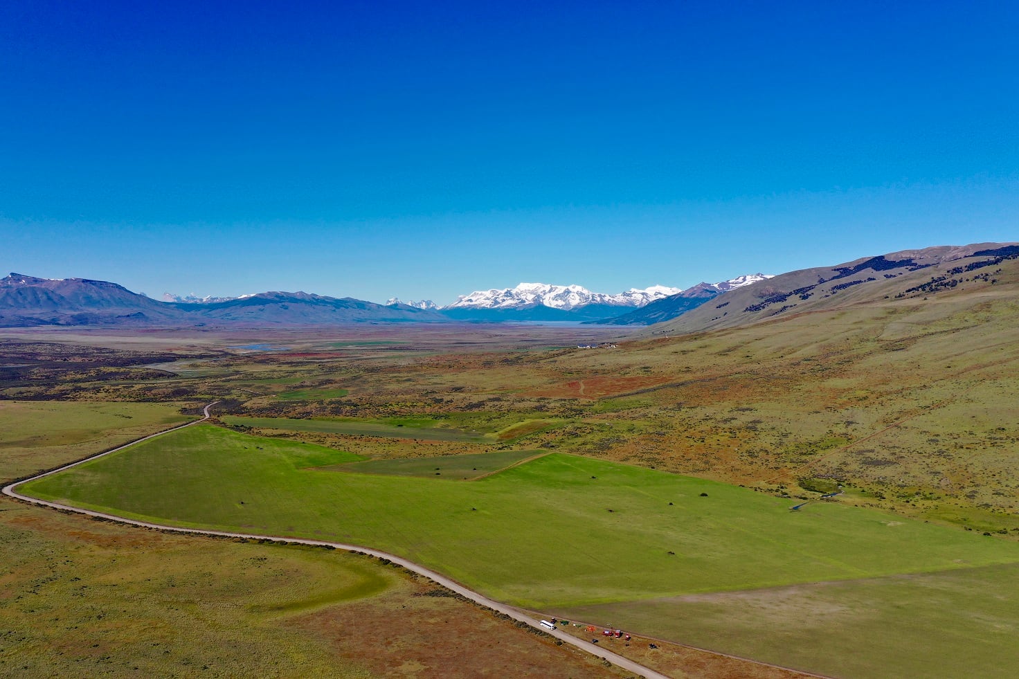 Parte de las 360 hectáreas cultivadas en la Estancia Alice, con el Lago Argentino y la cordillera de fondo