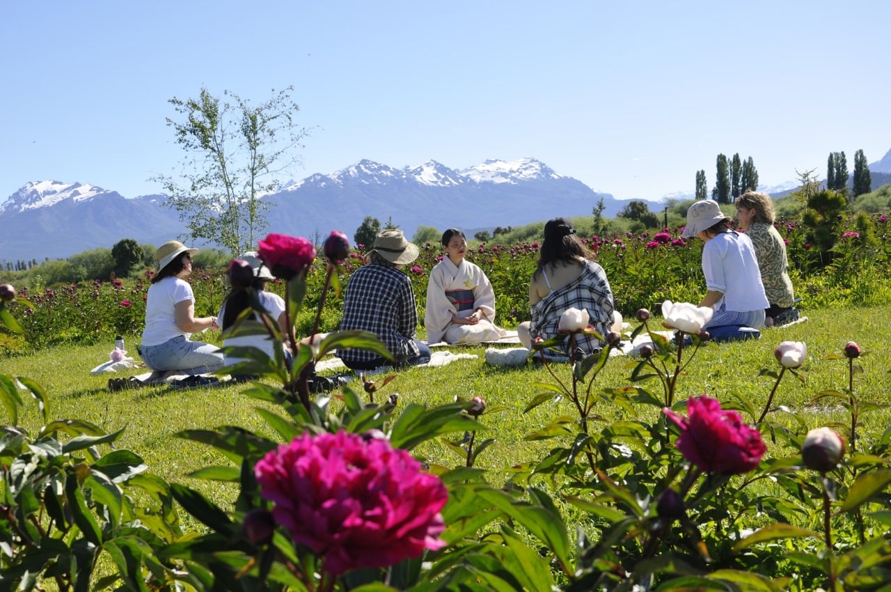 El ritual del te japonés en un campo de peonías en Trevelín