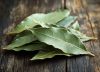 No tires las hojas de laurel secas, son un tesoro: cómo reutilizarlas en tus plantas