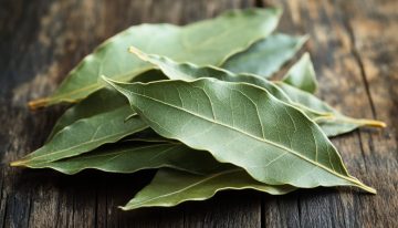 No tires las hojas de laurel secas, son un tesoro: cómo reutilizarlas en tus plantas