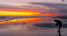 Ni Mar del Plata ni Cariló: el balneario con playas de 800 metros y caminos de ripio, ideal para el verano