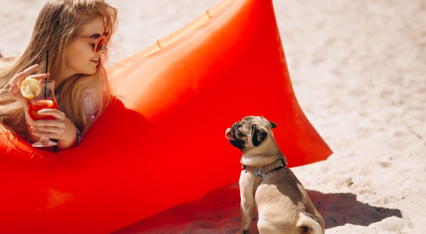 Cuáles son los síntomas a tener en cuenta para detectar si mi perro o gato sufre un golpe de calor