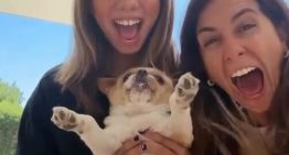 Cinthia Fernández salió al cruce de los seguidores que la criticaron por comprar un perro: “Opinan sin saber”