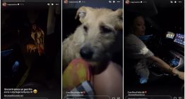 Evangelina Anderson y Majo Martino rescataron a un perrito perdido en Punta del Este: el video