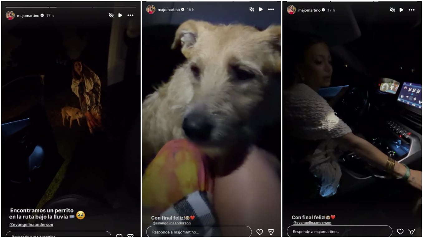 Evangelina Anderson y Majo Martino protagonizaron el rescate de un perrito perdido en Punta del Este. (Foto: Instagram / majomartino)