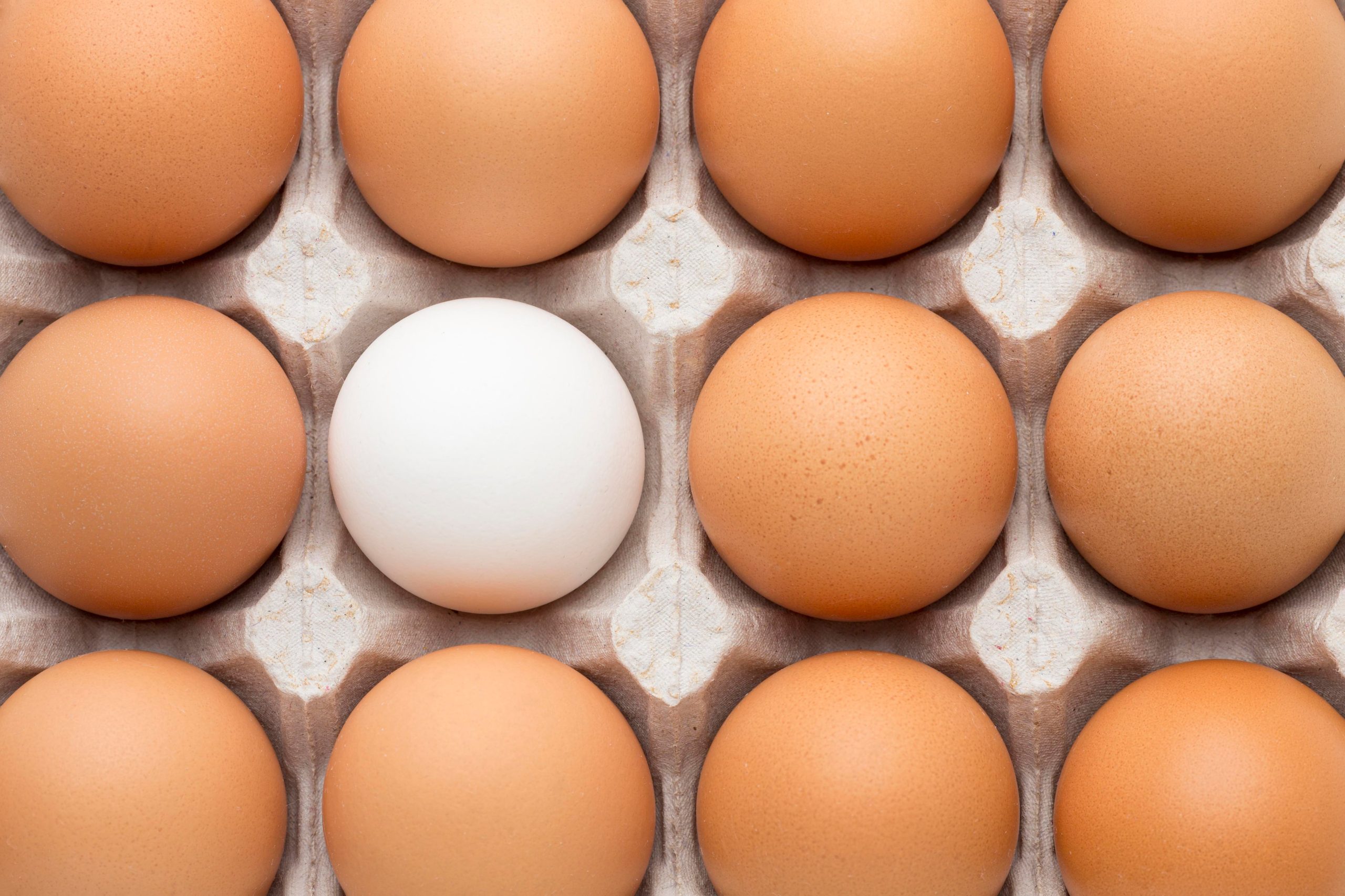 La ingesta de huevo puede colaborar a suplir la deficiencia de B12