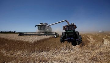 Boom con el trigo: en diciembre se anotaron exportaciones por US$900 millones