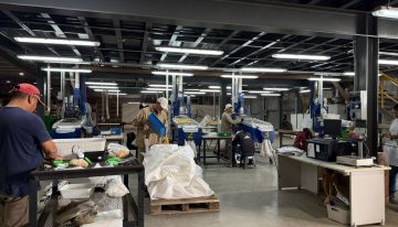 “Brasil nos superó”: un ejecutivo de una multinacional proyectó un futuro “totalmente positivo” para el agro si hay reformas