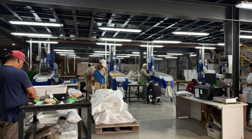 “Brasil nos superó”: un ejecutivo de una multinacional proyectó un futuro “totalmente positivo” para el agro si hay reformas