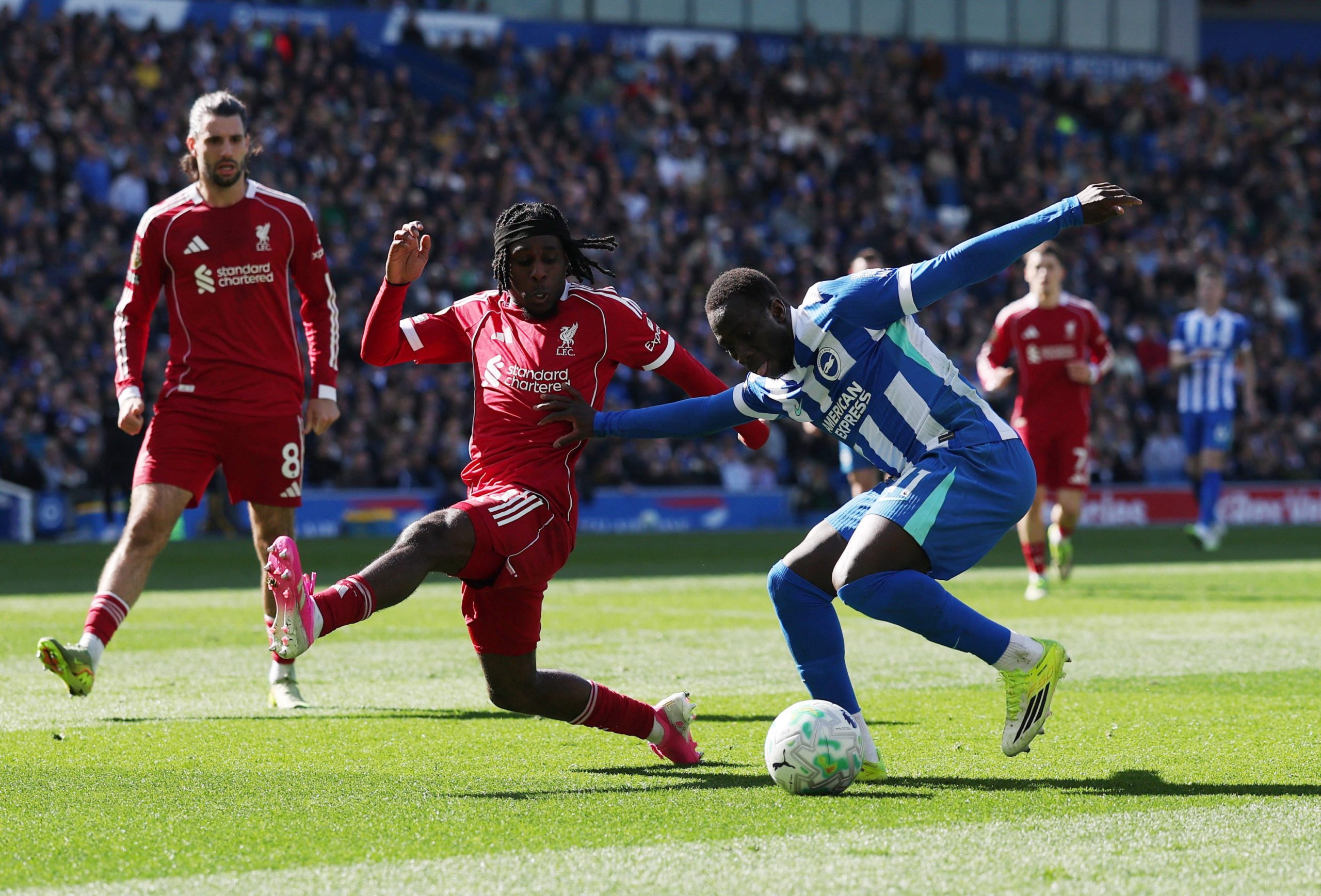 Brighton vs Liverpool por la fecha 31 de la Premier League del 2026.