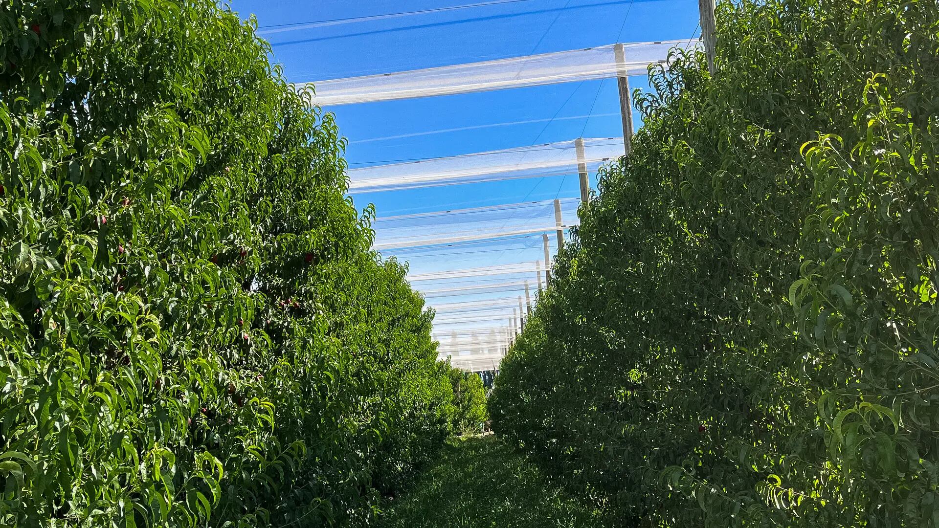 Funcionarios provinciales presentaron ante el Banco Interamericano de Desarrollo la necesidad de inversiones urgentes en protección productiva. (Foto: Gobierno de Río Negro).