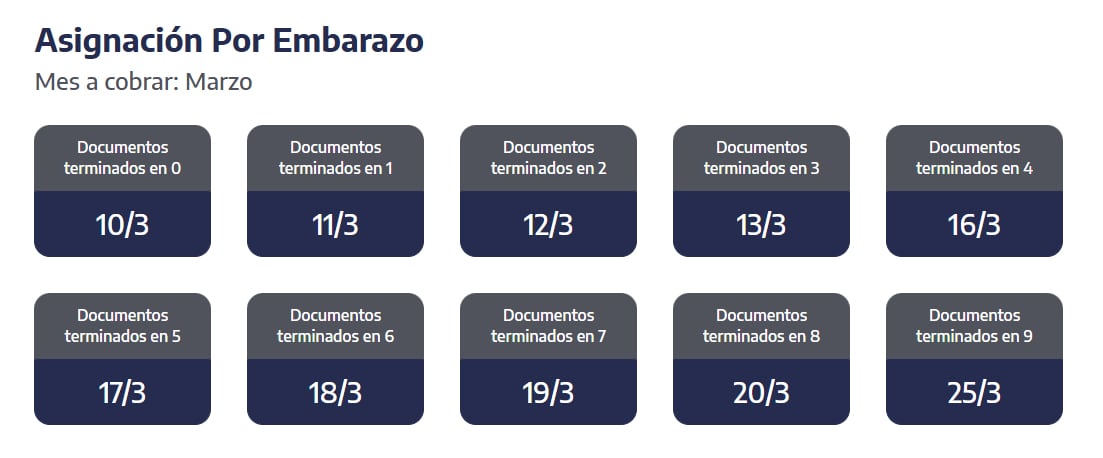 Quiénes reciben hoy la Asignación por Embarazo. (Captura: ANSES)
