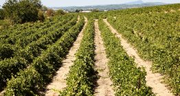 El imperdible circuito europeo, ideal para recorrer durante 5 días en bicicleta