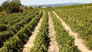 El imperdible circuito europeo, ideal para recorrer durante 5 días en bicicleta