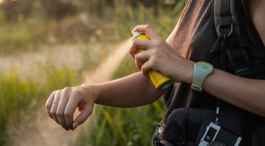 Por una primavera sin picaduras: 5 repelentes de mosquitos eficaces por menos de 11 euros