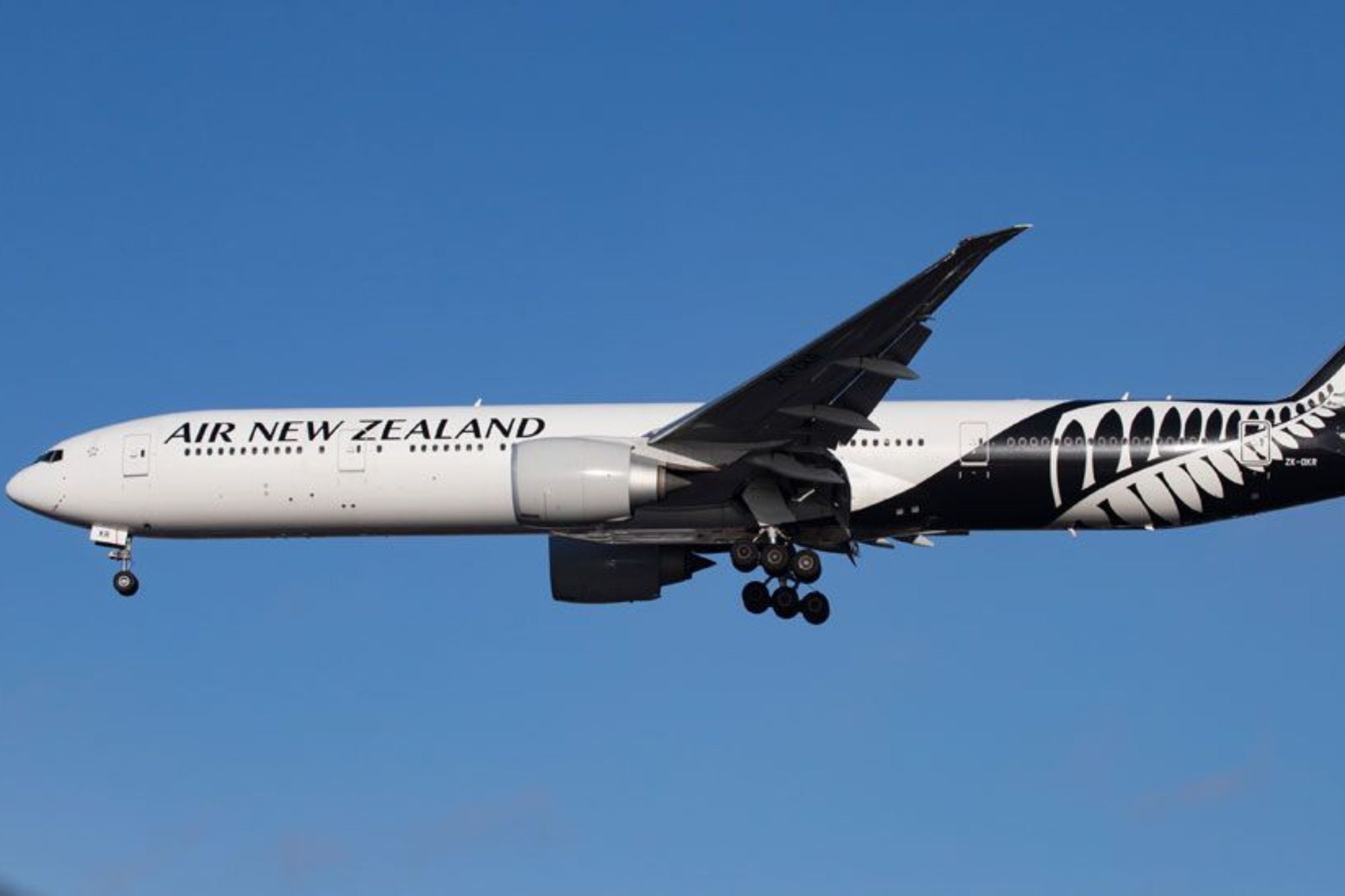La empresa Air New Zealand (Foto: Archivo)
