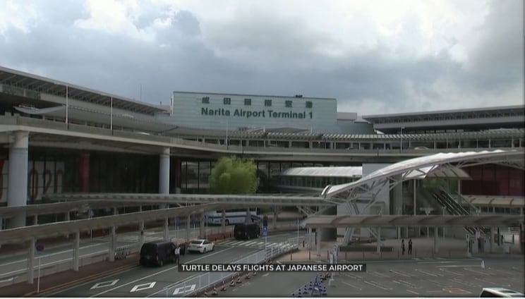 El Aeropuerto Internacional de Narita en Tokio, Japón