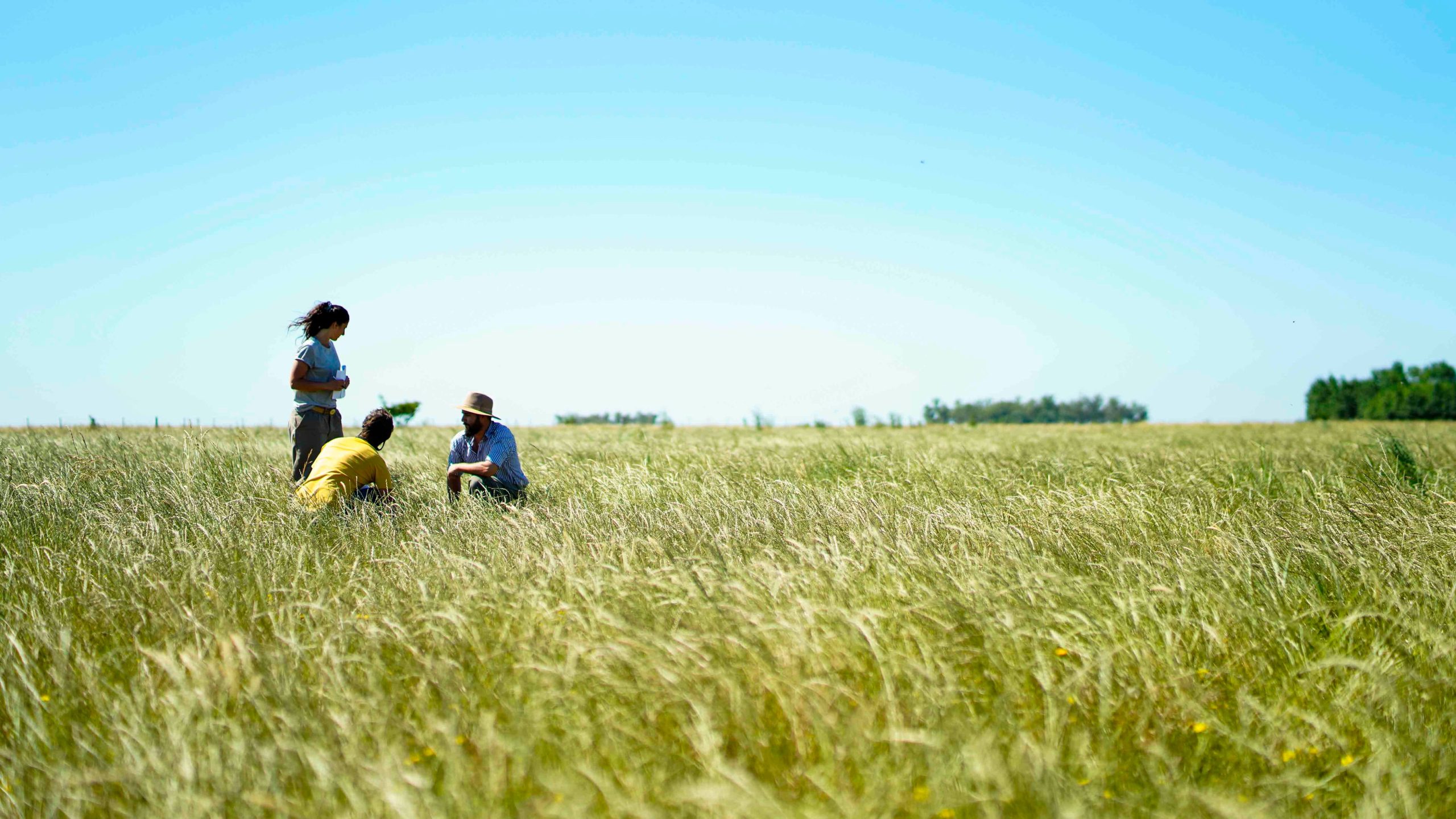 La Red de Técnicos de Ovis21 & Ruuts realizando trabajo de campo