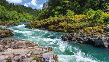 Aforismos: la historia del joven chino que lo dejó todo para convertirse en poeta