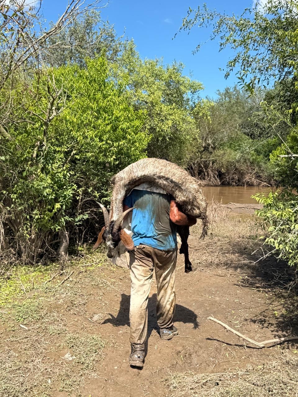 Nicolás, uno de los rescatistas, tuvo que llevarla en sus hombros durante un kilómetro por el camino lodoso.