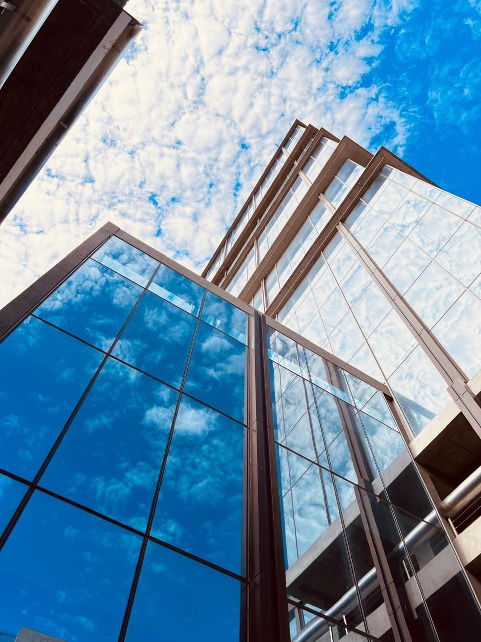 La apuesta implicó una inversión de US$50 millones