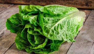 Ni papel film ni aluminio: cómo guardar la lechuga para que no se marchite y se mantenga fresca