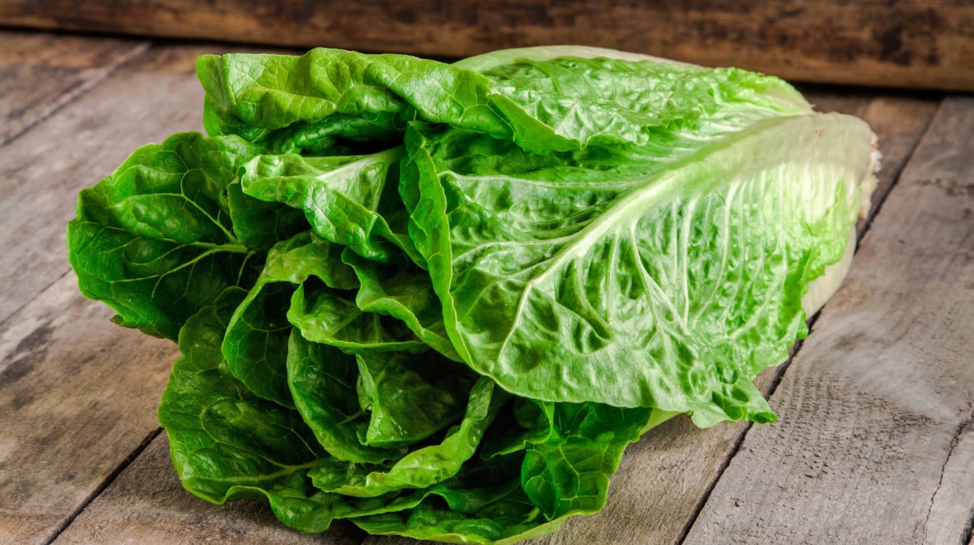 Es clave saber cómo guardar la lechuga para que se mantenga fresca por más tiempo. (Foto: AdobeStock)