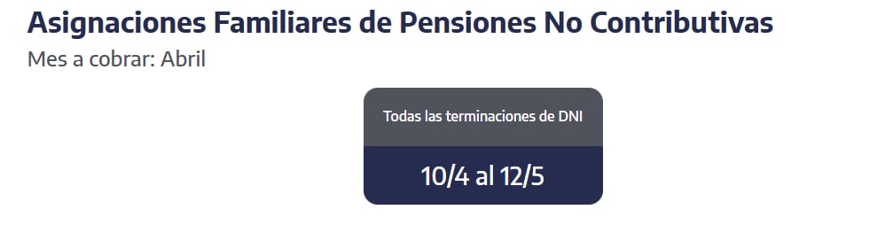 Quiénes reciben las asignaciones familiares de Pensiones No Contributivas. (Captura: ANSES)