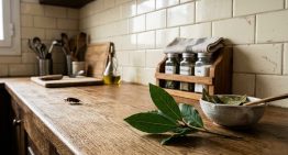 Chau cucarachas en la cocina: cuál es la planta que las ahuyenta para siempre