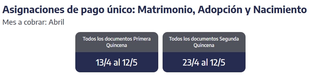 Quiénes reciben hoy las asignaciones de pago único. (Captura: ANSES)