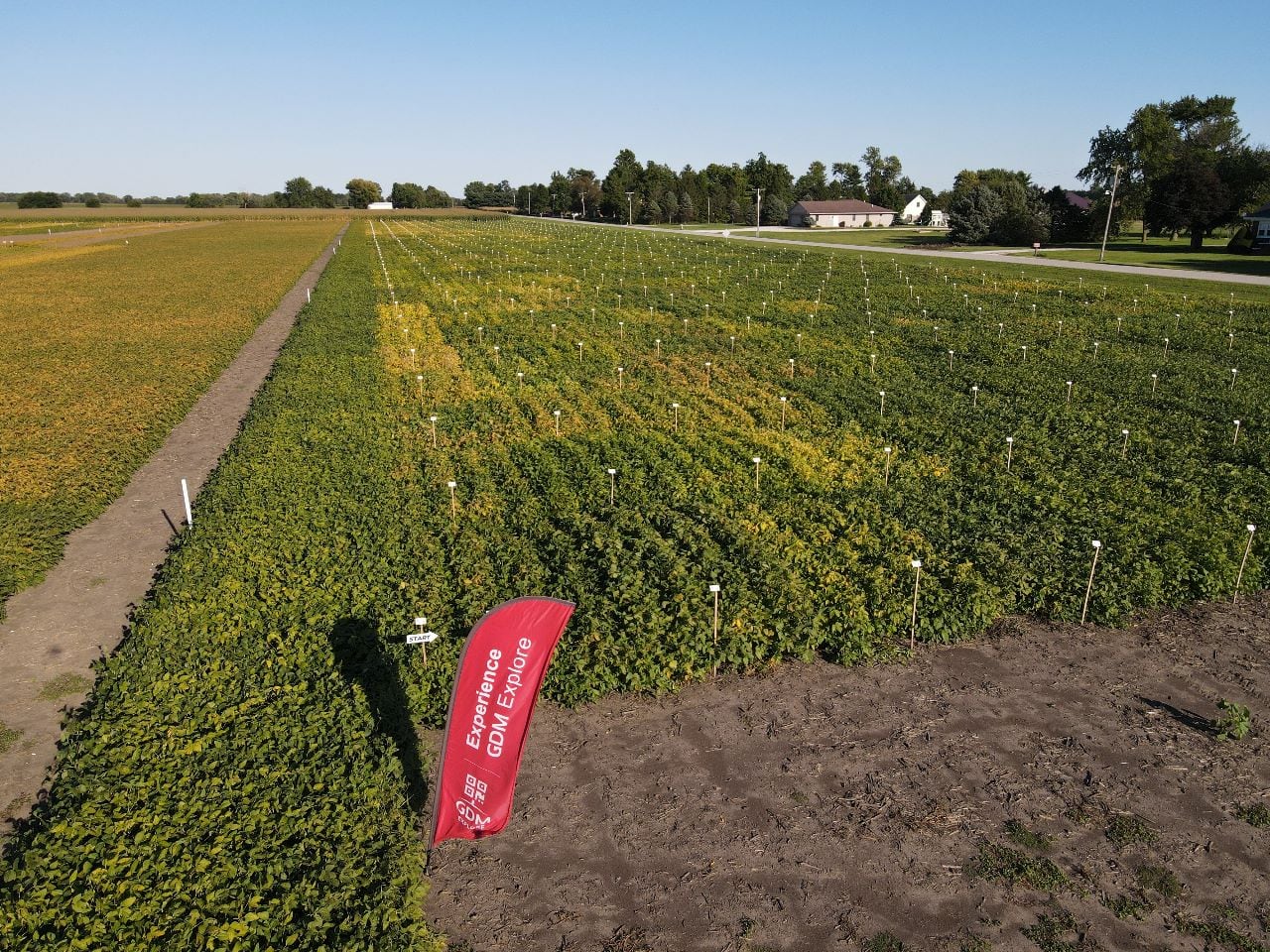 Soja argentina en Estados Unidos