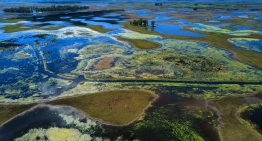 Los pronósticos anticipan la vuelta de El Niño y un experto le puso fecha