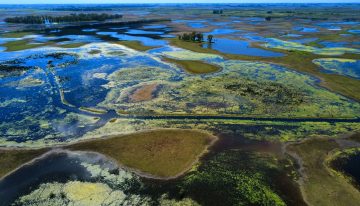 Los pronósticos anticipan la vuelta de El Niño y un experto le puso fecha