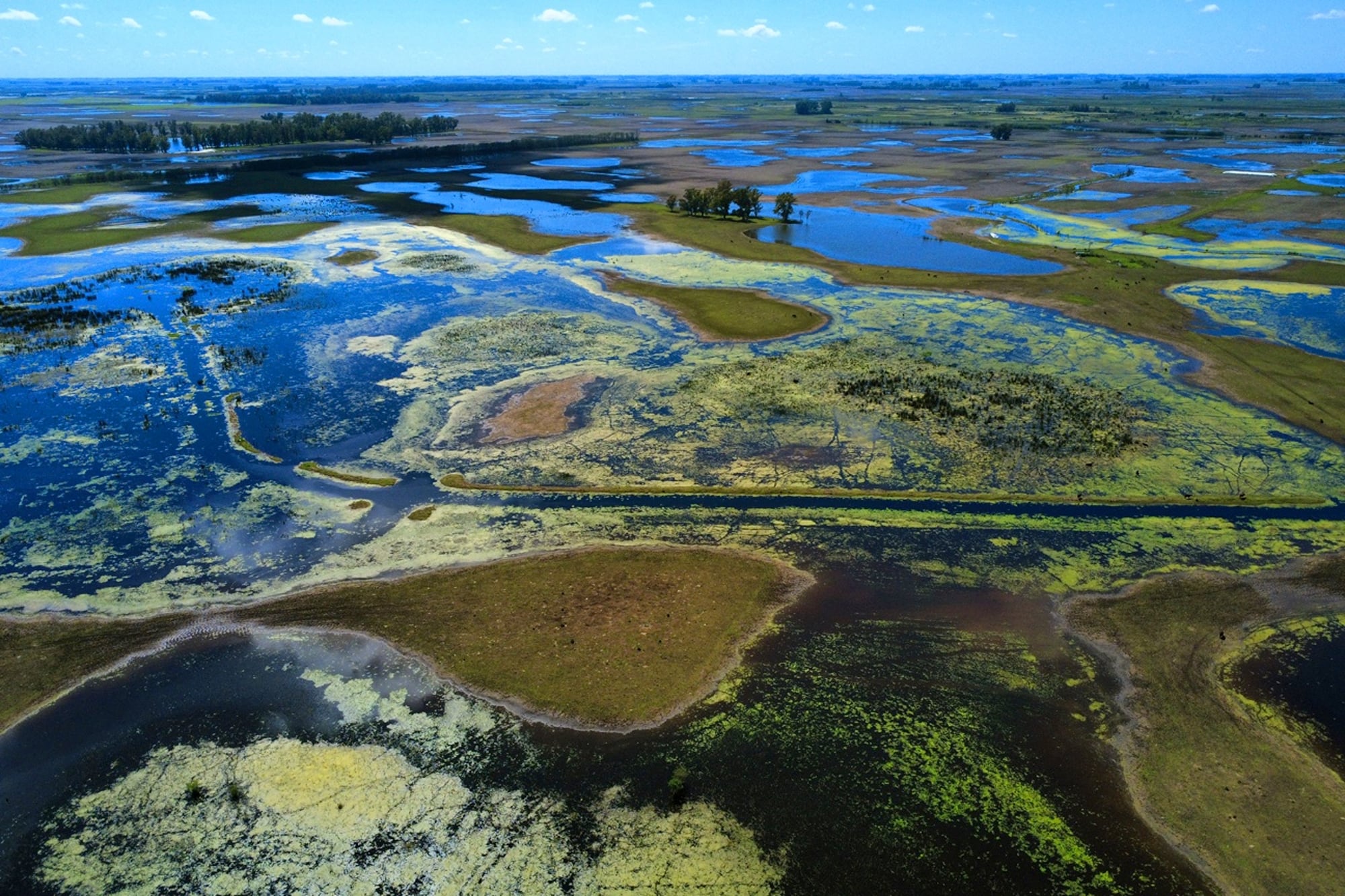 Campos anegados el año pasado en la zona de 9 de Julio, Buenos Aires