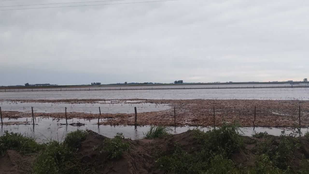Está descartada una próxima Niña