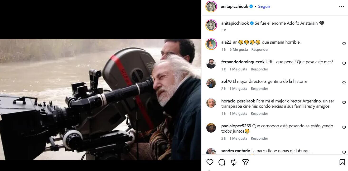 Ana María Picchio recordó a Adolfo Aristarain, un cineasta con el que trabajó. (Foto: Instagram / anamariapicchio)