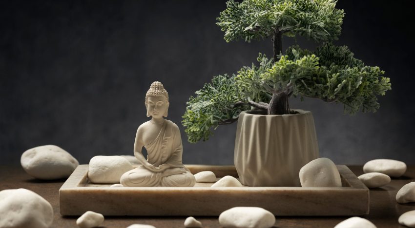 Los expertos en Feng Shui coinciden: dónde colocar un bonsái para atraer equilibrio y abundancia a tu hogar