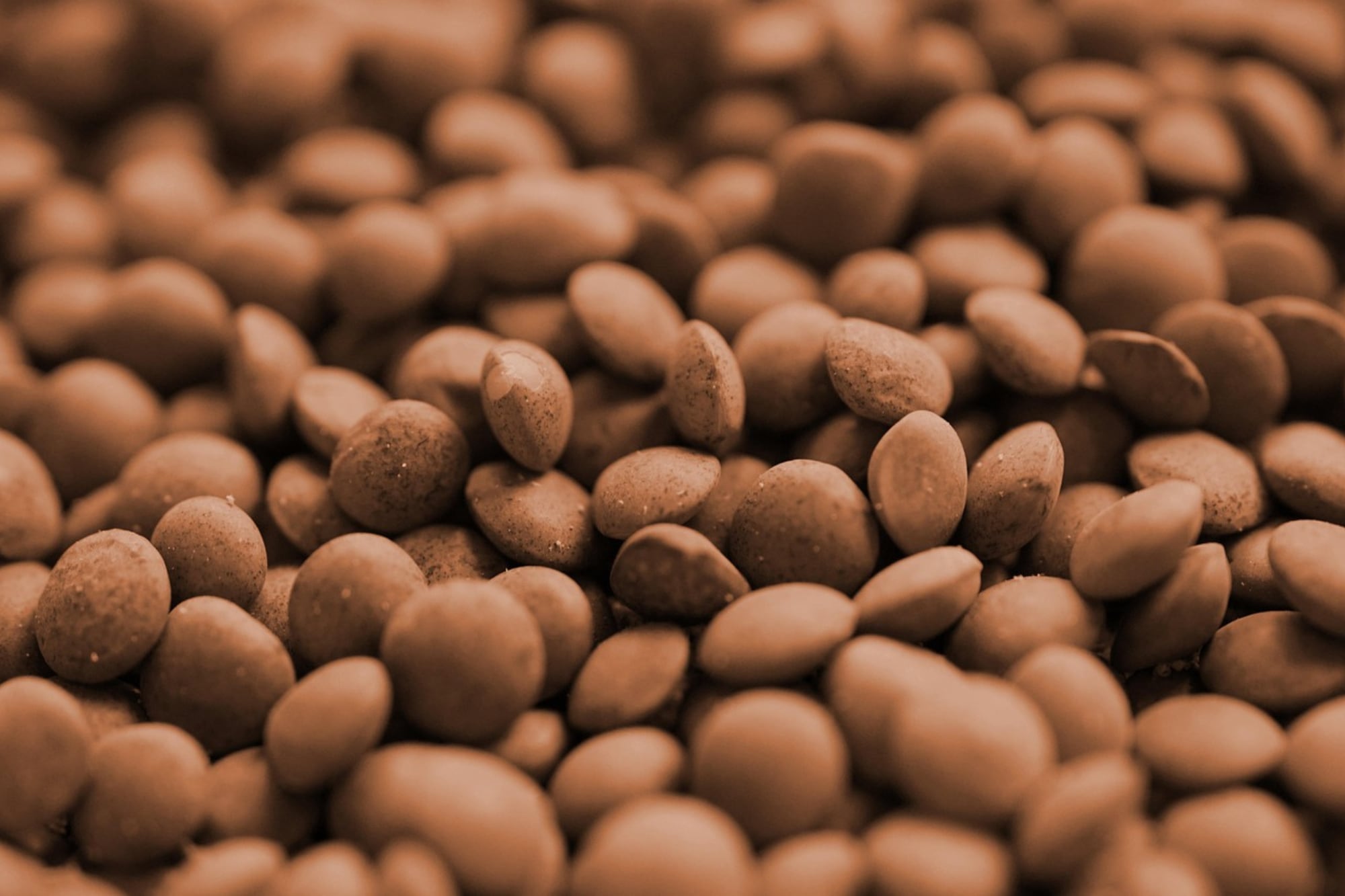 Las lentejas son un alimento altamente nutritivo, ideal para dietas equilibradas, vegetarianas o veganas (Foto de caracter ilustrativo: Freepik)