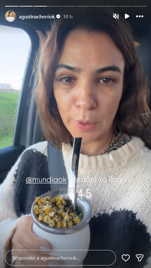 La imagen del mate de Agustina Cherri que abrió un inesperado debate. (Foto: Instagram /agustinacherriok)
