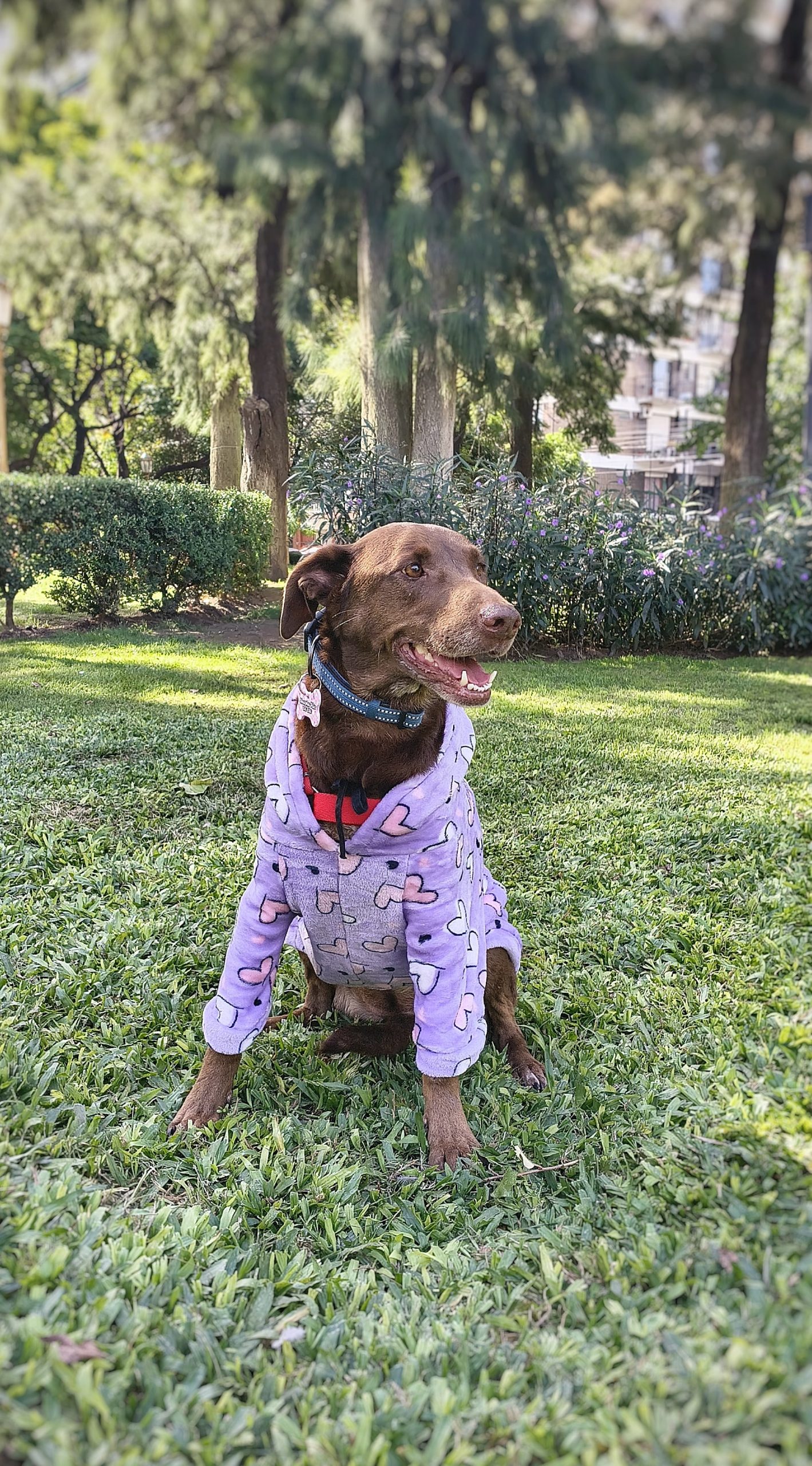 A Almendra le tomó unos minutos entender lo que estaba sucediendo.