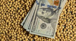 El dólar opera estable mientas el BCRA extiende su racha de compra de divisas