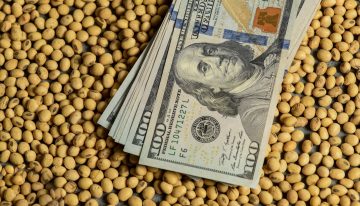 El dólar opera estable mientas el BCRA extiende su racha de compra de divisas