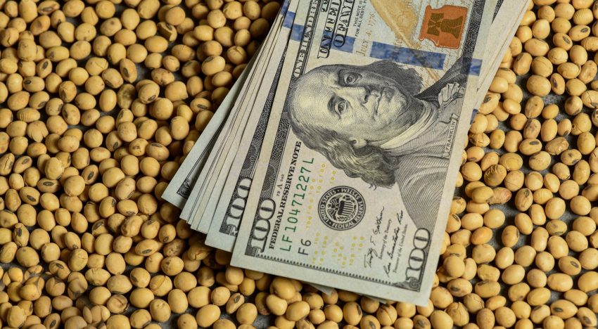 El dólar opera estable mientas el BCRA extiende su racha de compra de divisas