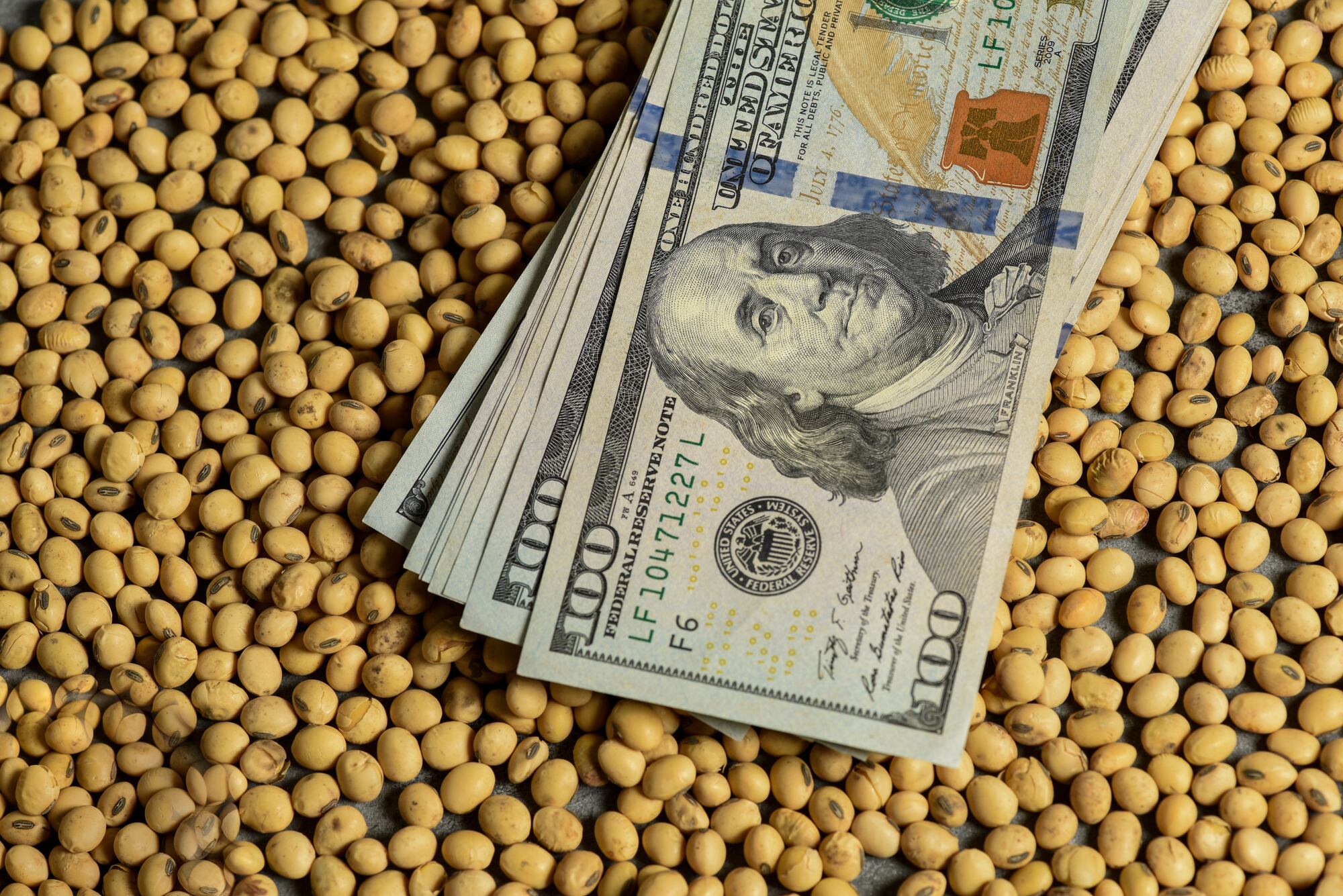 La baja en el dólar se explica en por la liquidación de divisas por parte del campo