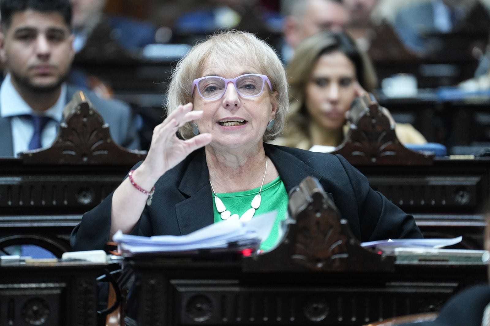 Silvana Giudici, diputada nacional de La Libertad Avanza. Foto Diputados