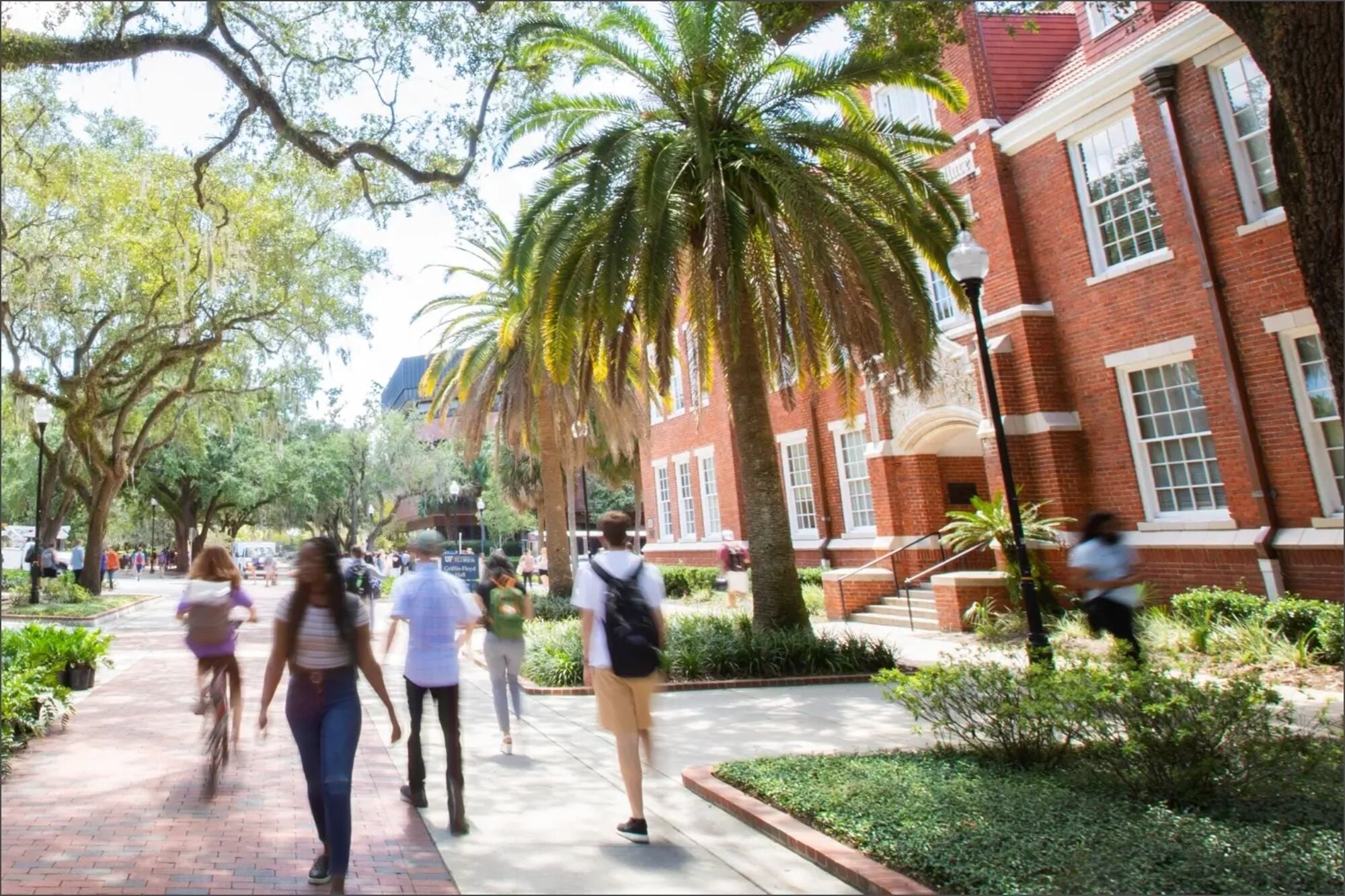 La propuesta alcanzaría a los 28 colleges del Florida College System y no a las 12 universidades públicas del estado
